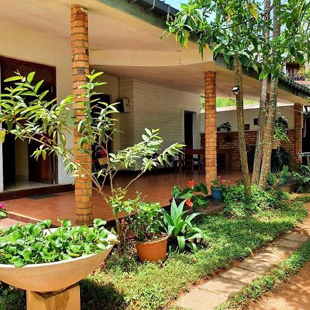 Sunbeam Homestay إيلا المظهر الخارجي الصورة